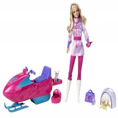 Barbie I Can Be Arctic Rescuer Playset   